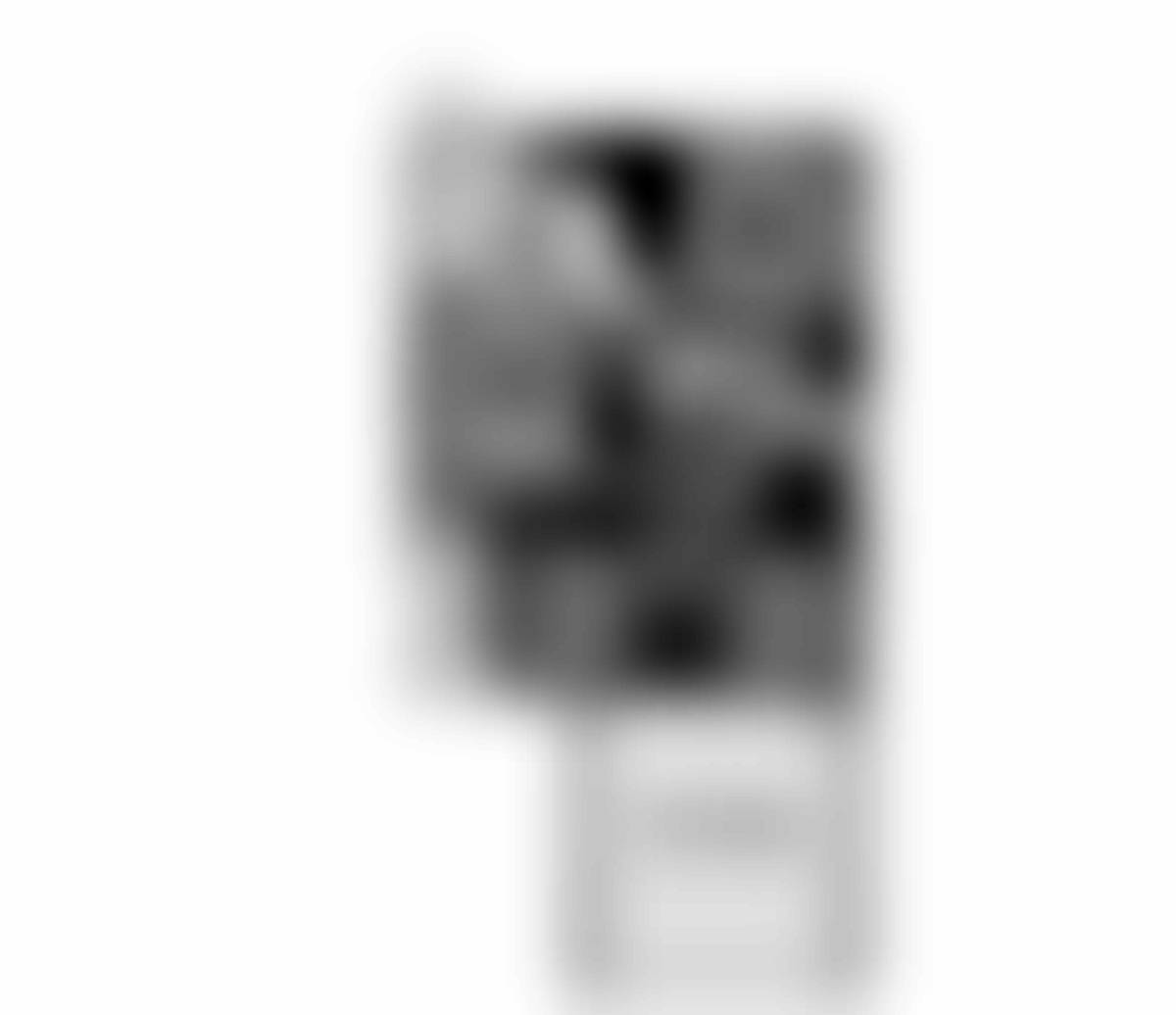 1074 floor plan