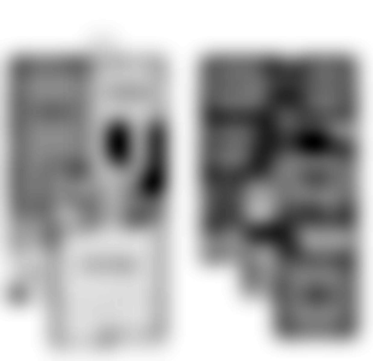 2265 floor plan