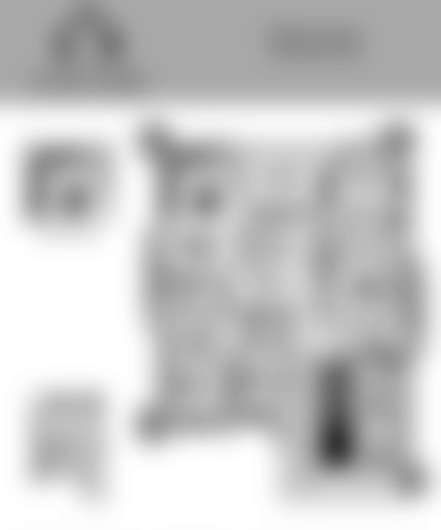 Monte Carlo floor plan