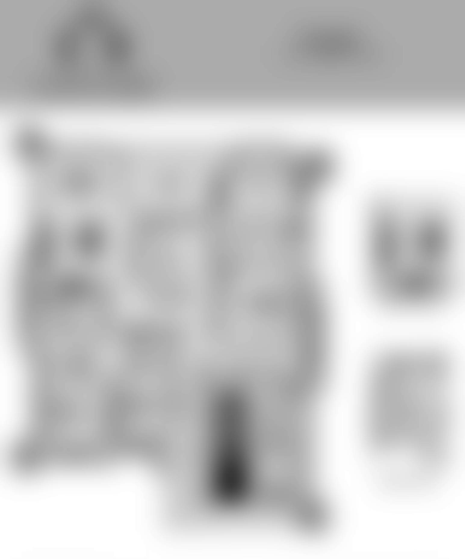 Nugget floor plan