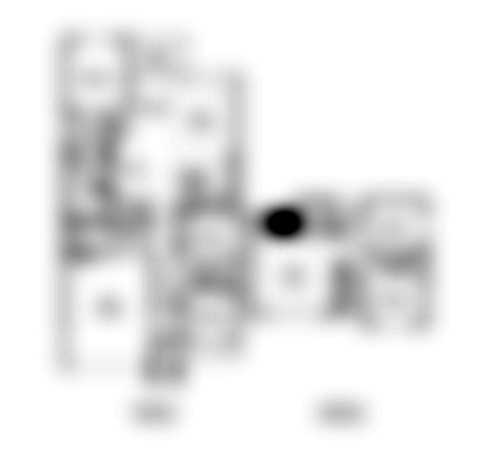 Florence floor plan