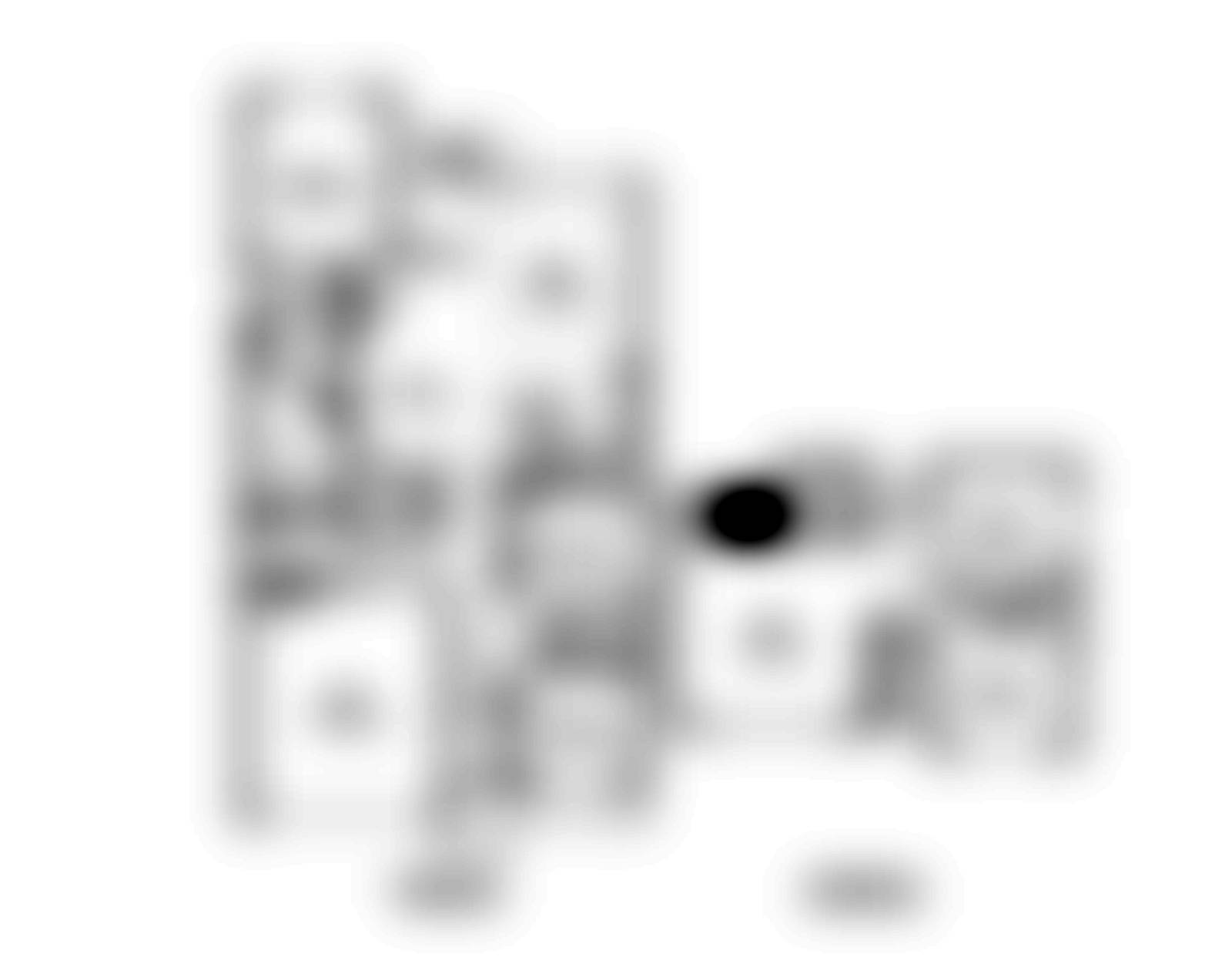 Tejas floor plan
